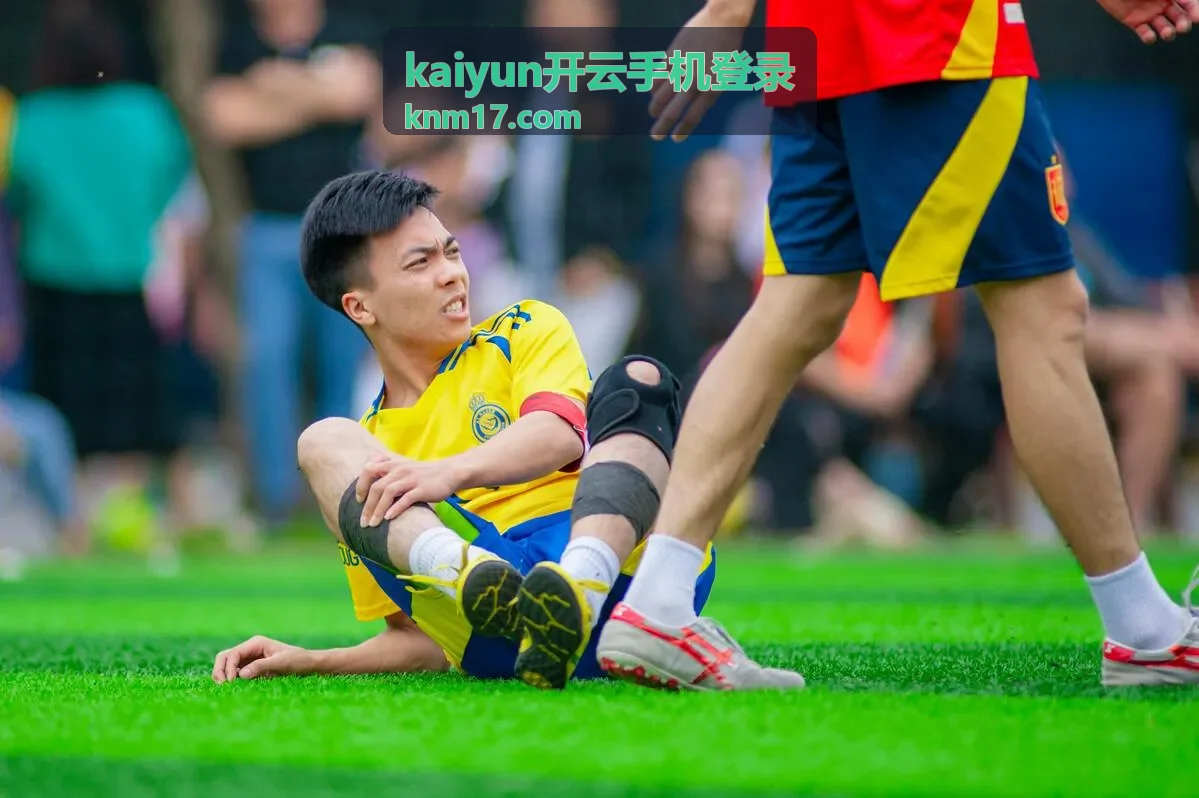 kaiyun开云手机登录访问流程示意图